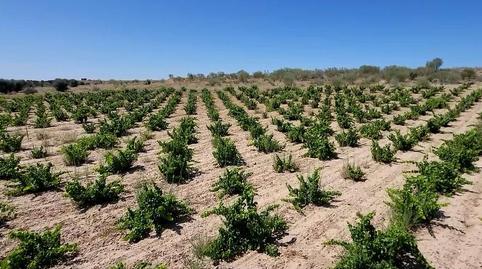 Photo 5 of Residential for sale in Sector 8, Polig, La Dehesa - El Pinar, Madrid