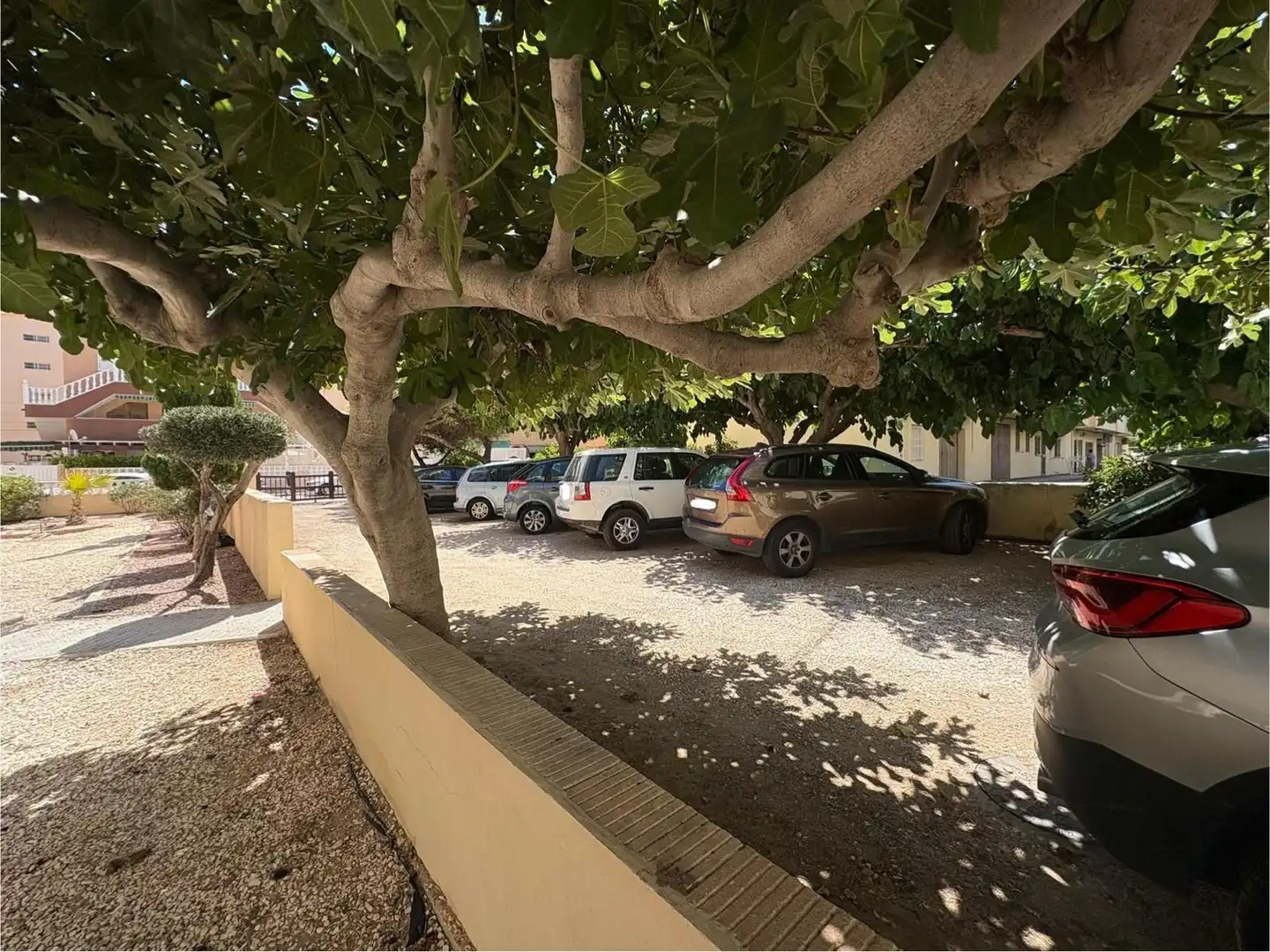 Parking of Apartments for sale in Torrevieja  with Terrace and Furnished