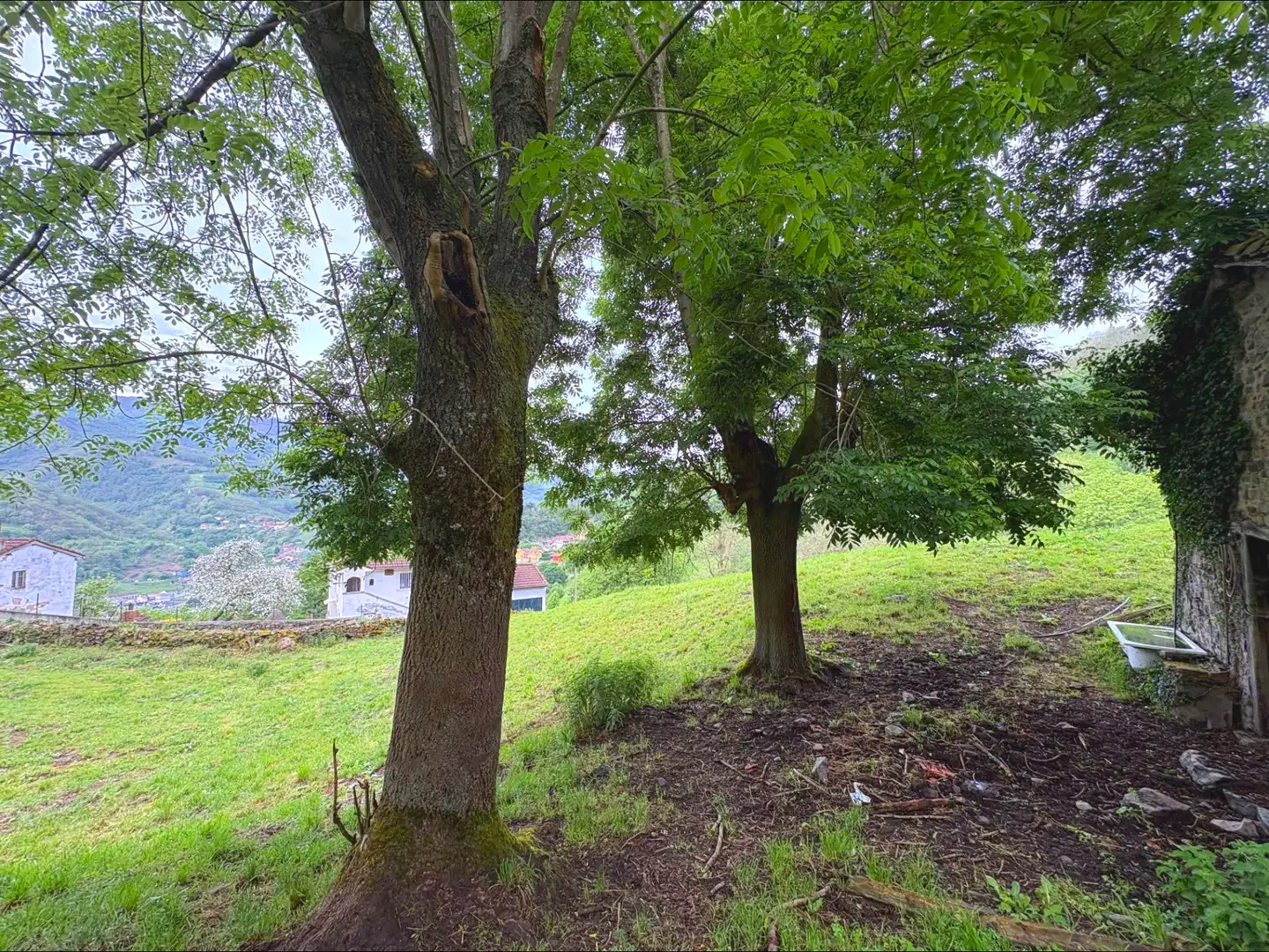 Casa o chalet en venta en Aller con Jardín privado