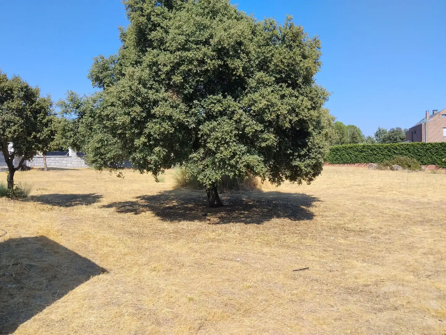 Terreni e lotti in vendita a Mojadillas - Parque de las Infantas - El Paraiso, imagen 2