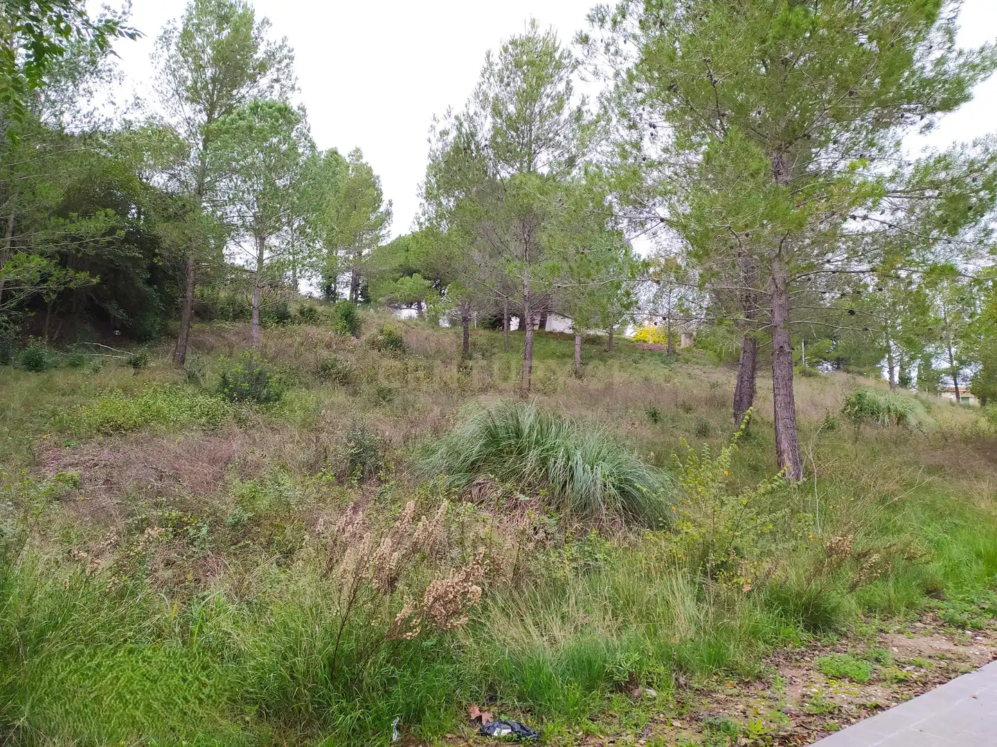 Residential land for sale in RONDA SOLEIA 22, imagen 31