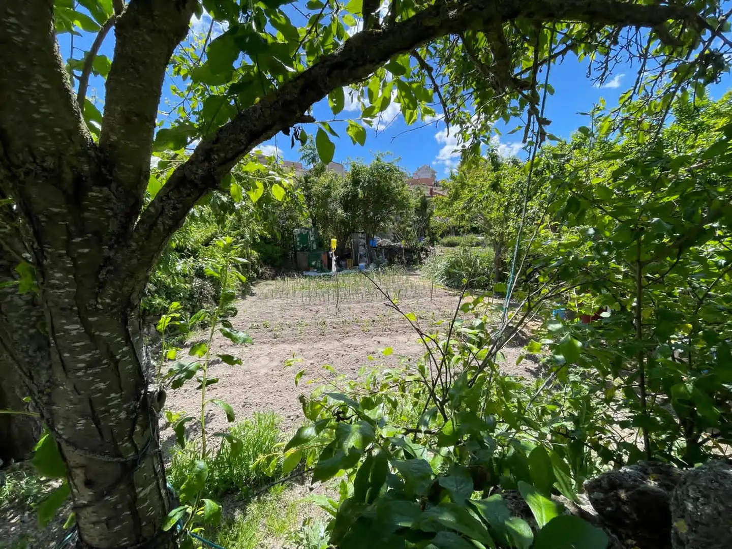 Finca rústica en venda en Espinosa de Cerrato amb Jardí privat