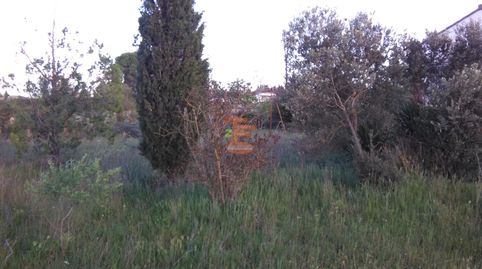 Foto 5 de Terreno en venta en Urbanización 19 Huertos Regao Peñaf, Peñaflor, Zaragoza Capital