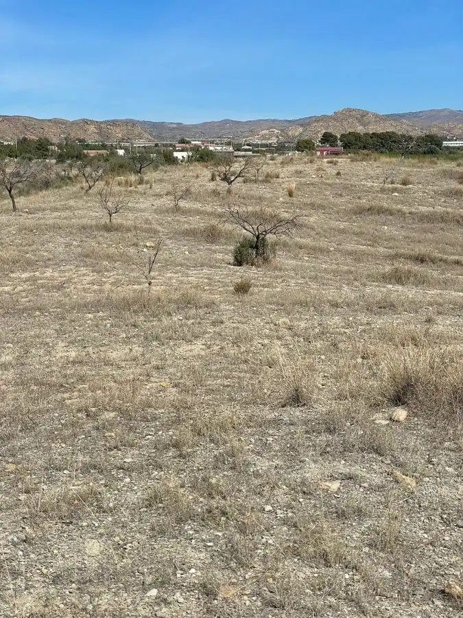 Rural land for sale in Huércal-Overa