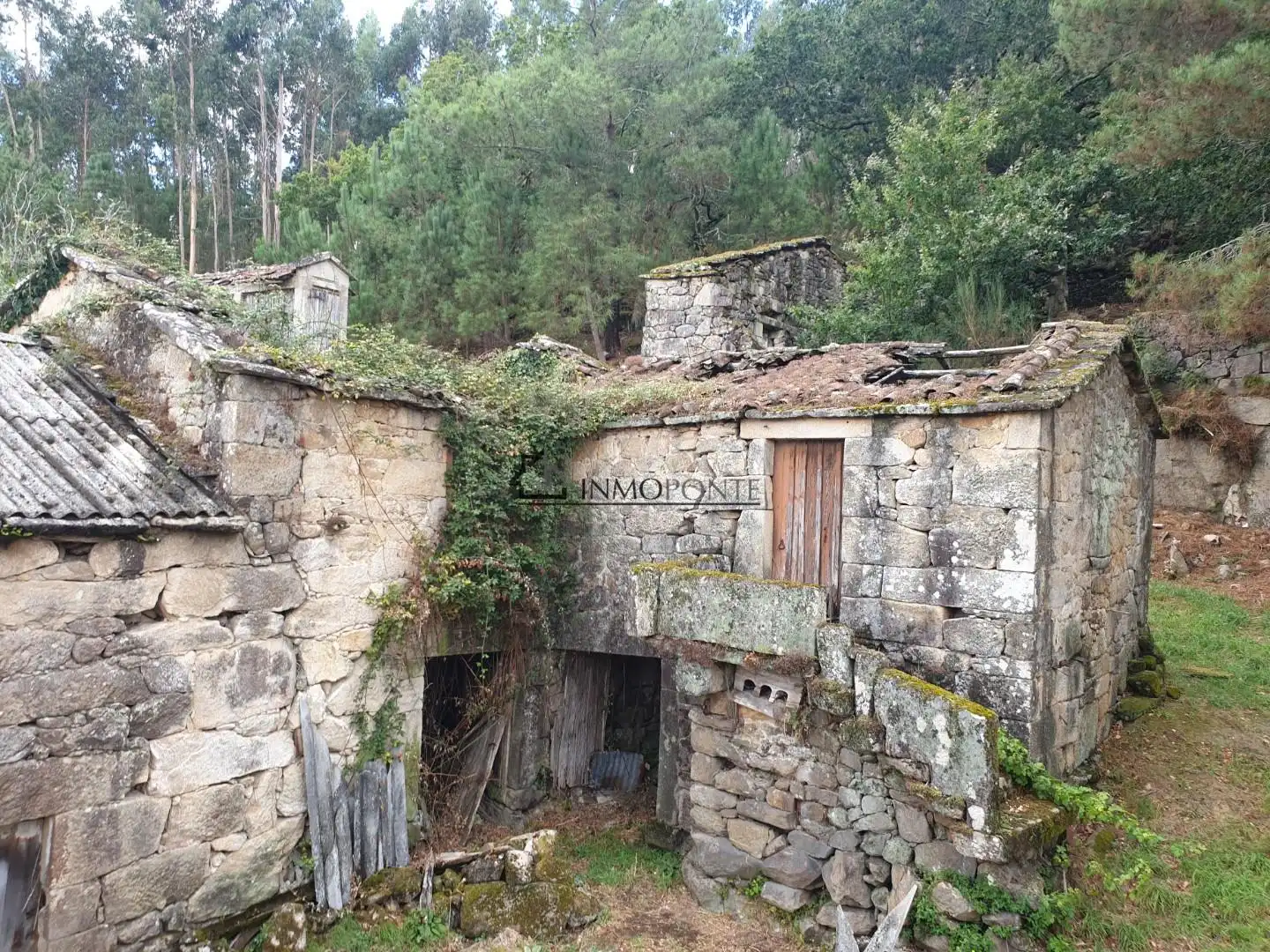 Vista exterior de Casa o chalet en venta en Campo Lameiro con Jardín privado