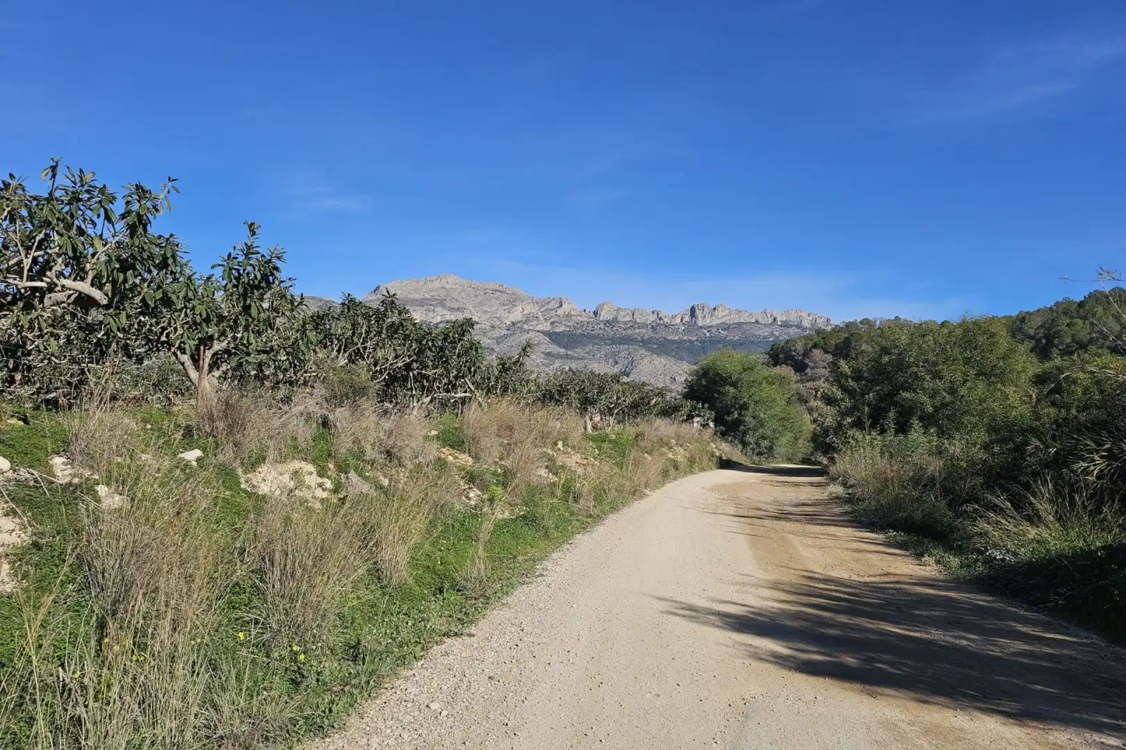 Casa en venda a Callosa d'en Sarrià, imagen 27