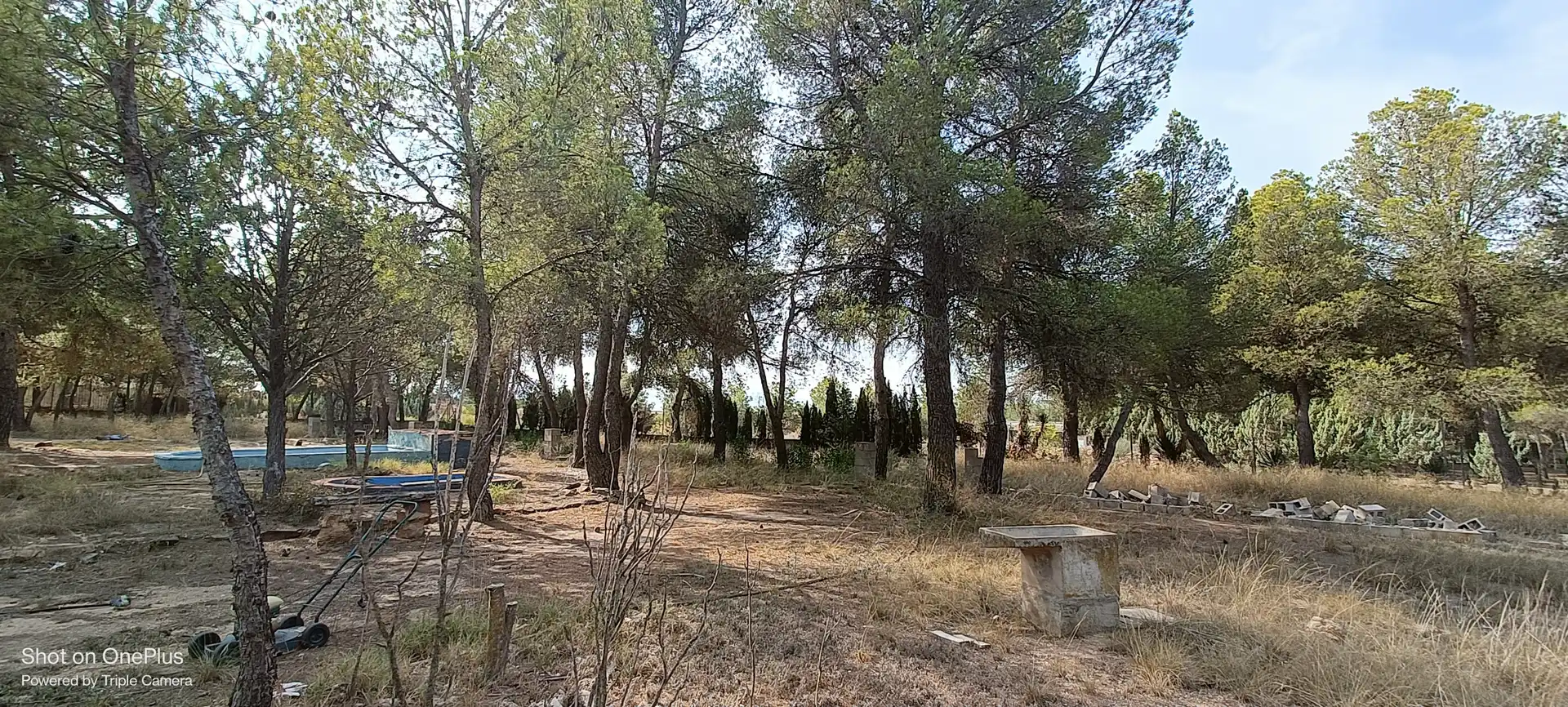 Casa o xalet en venda a Calle Aniceto Coloma, Almansa