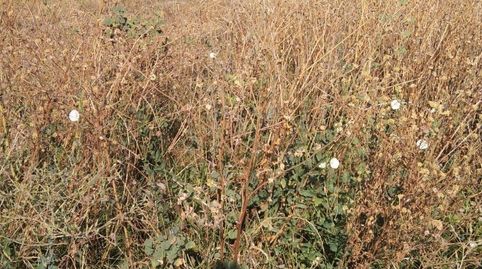 Foto 4 de Casa o chalet en venta en El Higuerón, Córdoba Capital