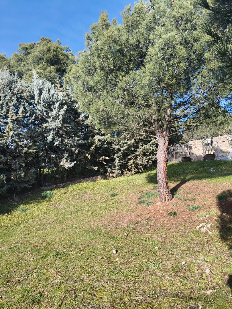 Residential for sale in Alpedrete