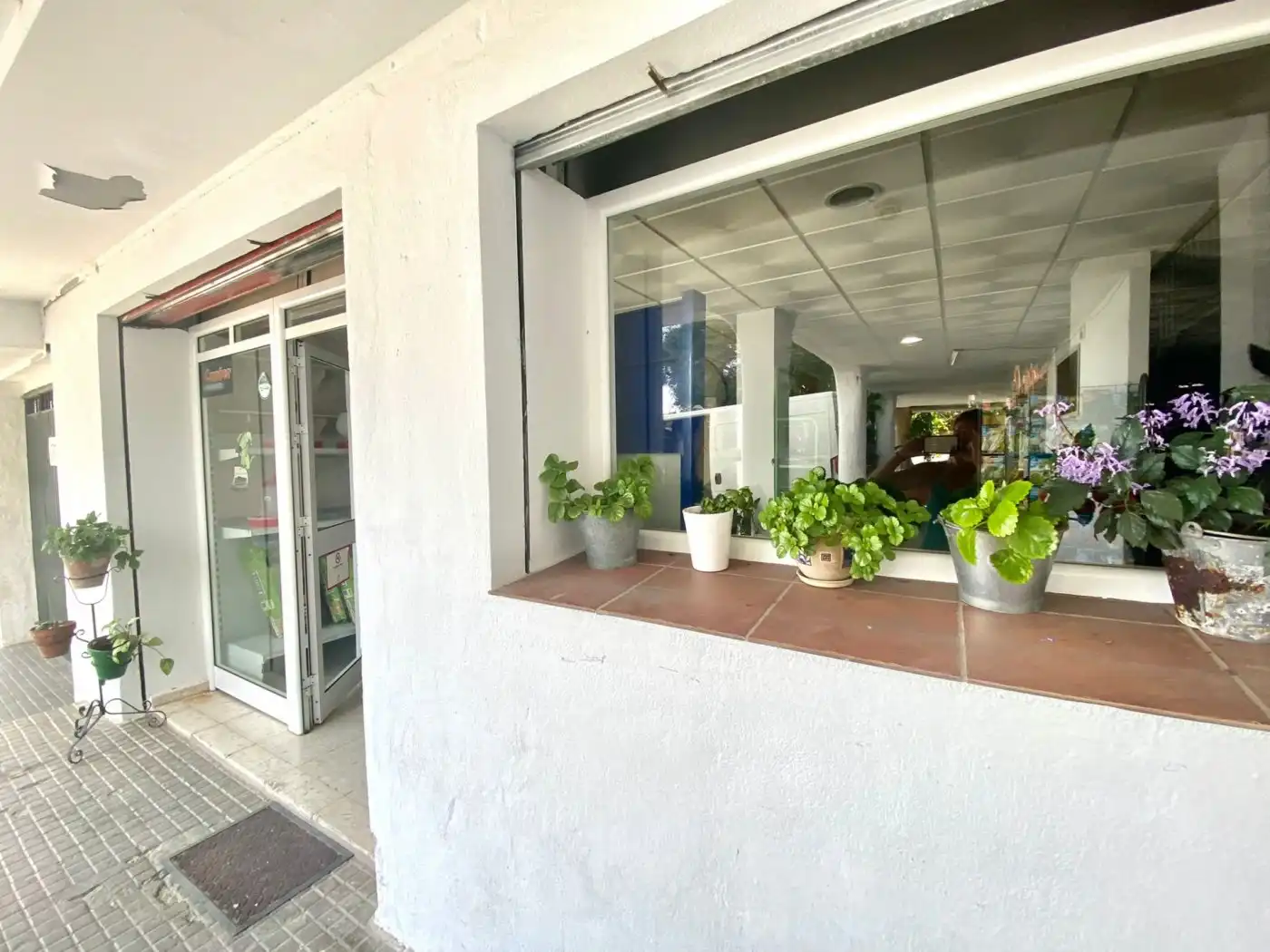 Gewerbefläche zum Verkauf in Tarifa ciudad, imagen 3