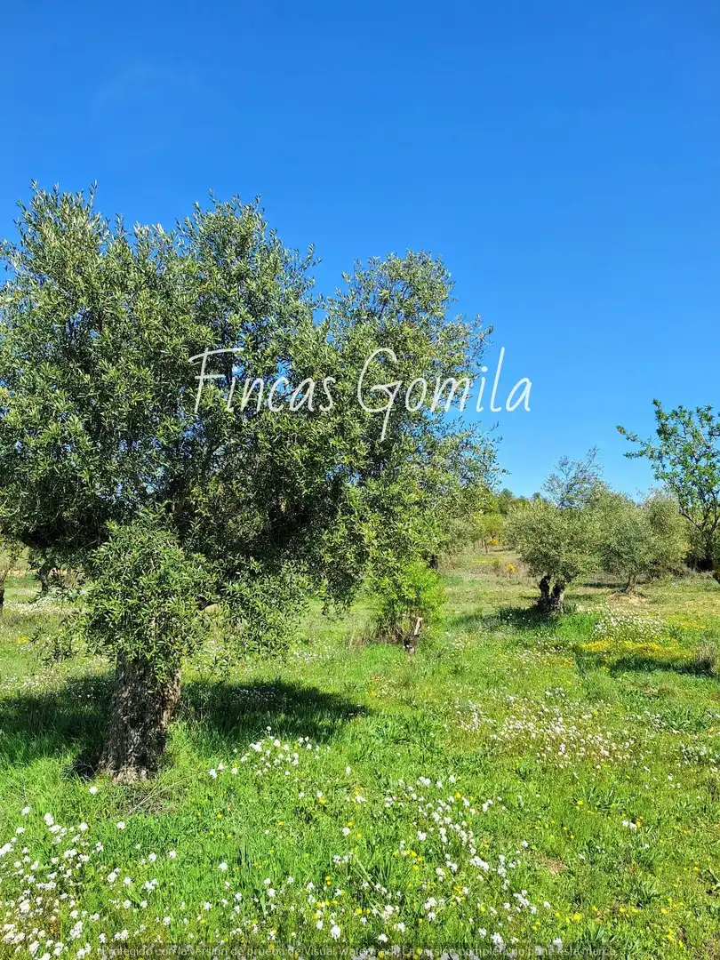 Terreno rustico in vendita a 8, imagen 28