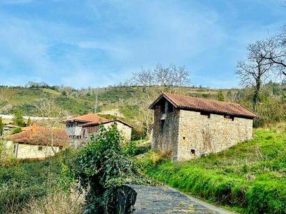 Vista exterior de Finca rústica en venda en Salas amb Jardí privat