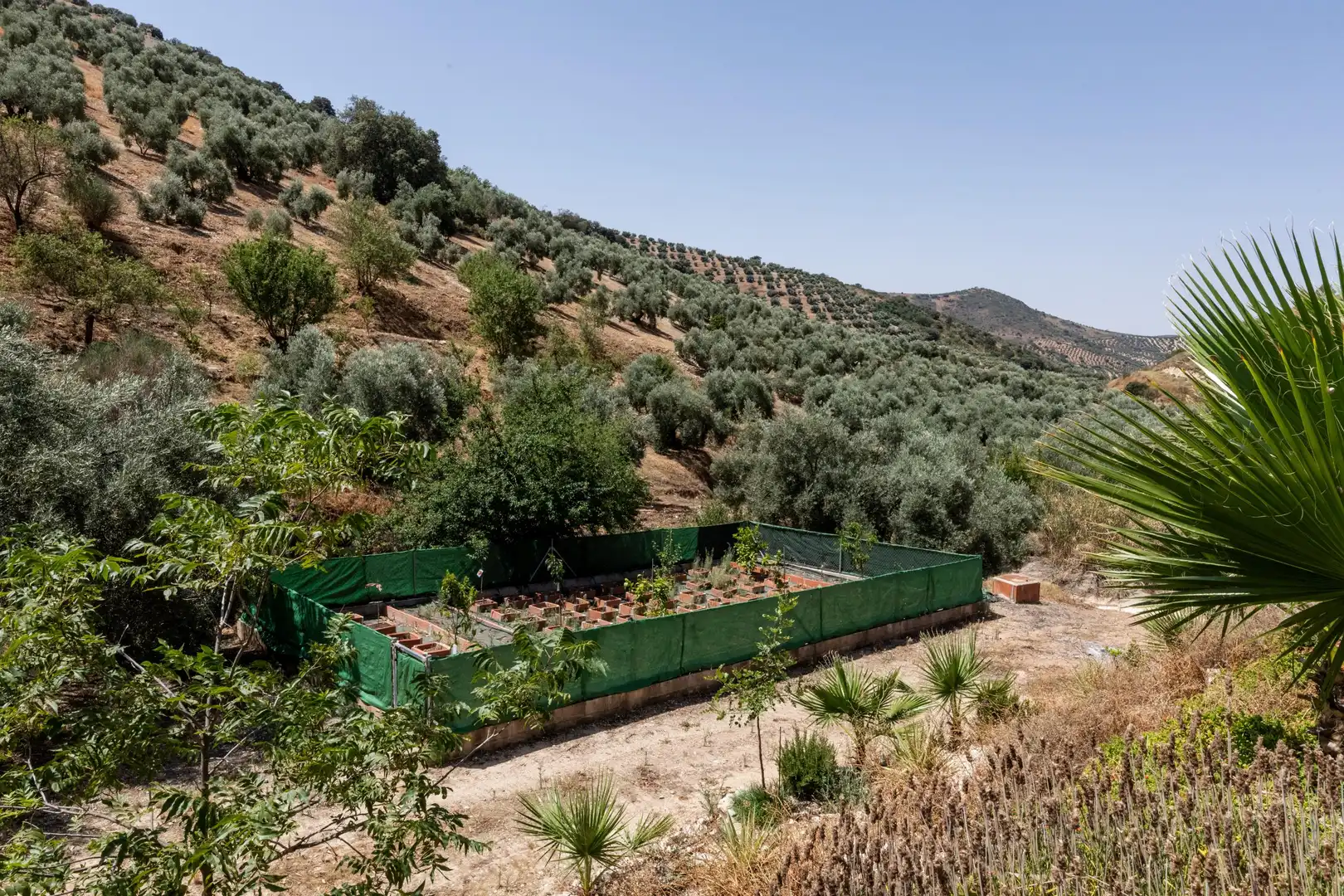 Jardí de Finca rústica en venda en Cuevas de San Marcos amb Calefacció, Jardí privat i Terrassa