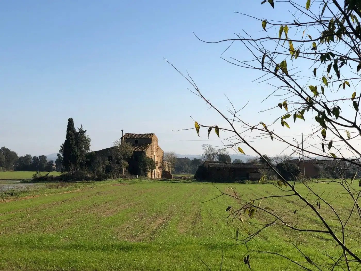 Finca rústica en venda a Carrer Sant Isidre, 2, Corçà
