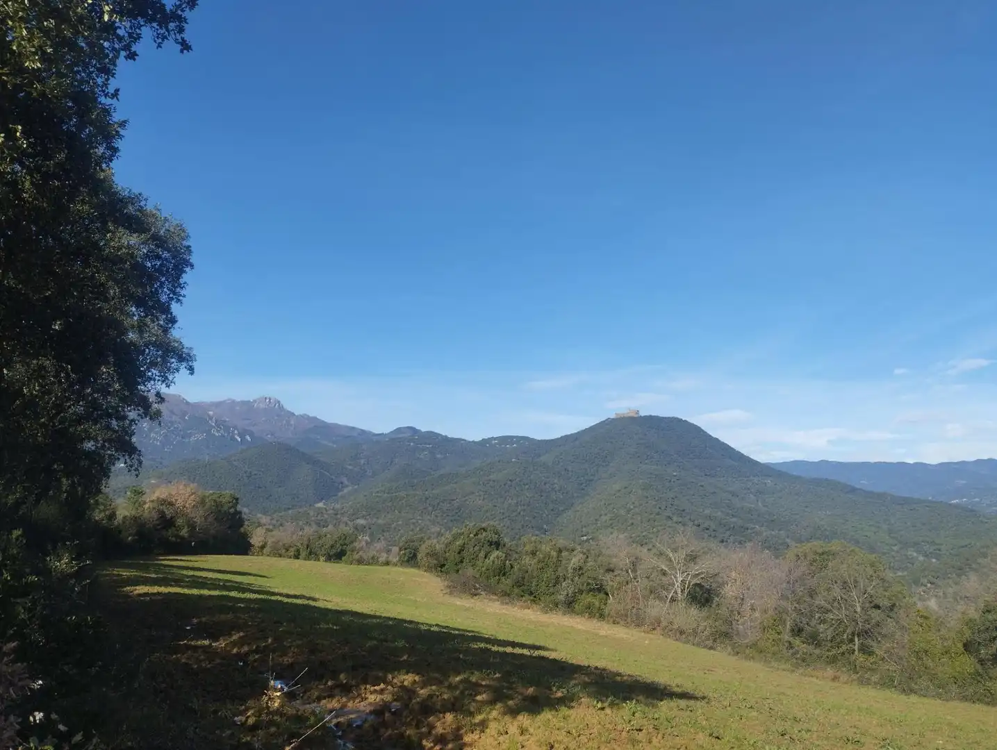 Vista exterior de Finca rústica en venta en Massanes
