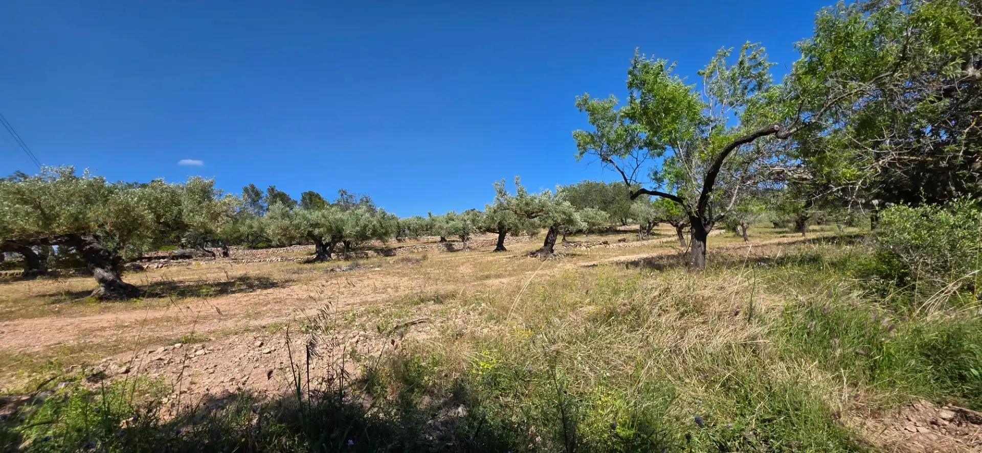 Maison rustique à vendre à Tivissa, imagen 19