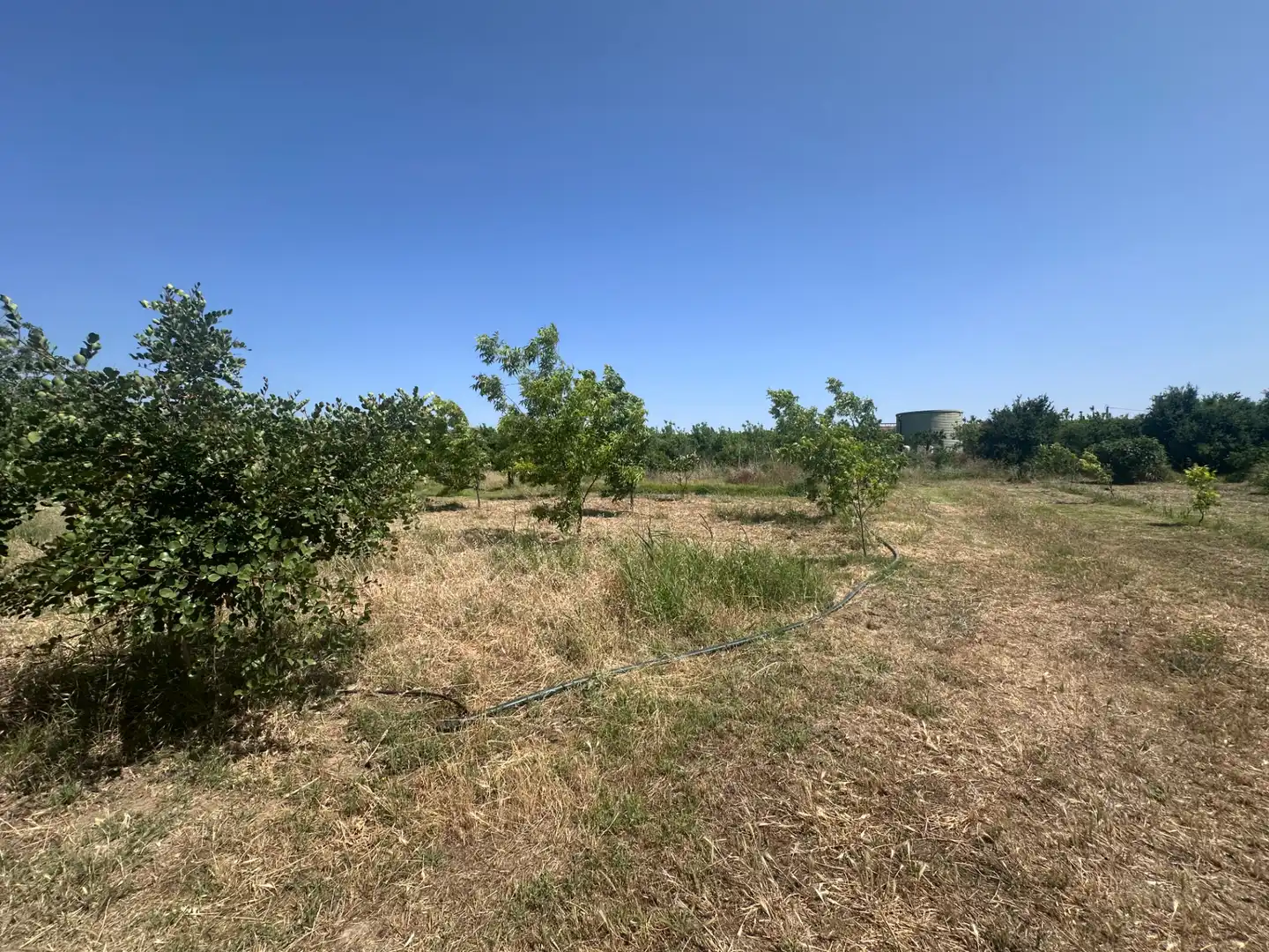 Terreno rustico in vendita a Buenavista - Lauro Golf, imagen 2