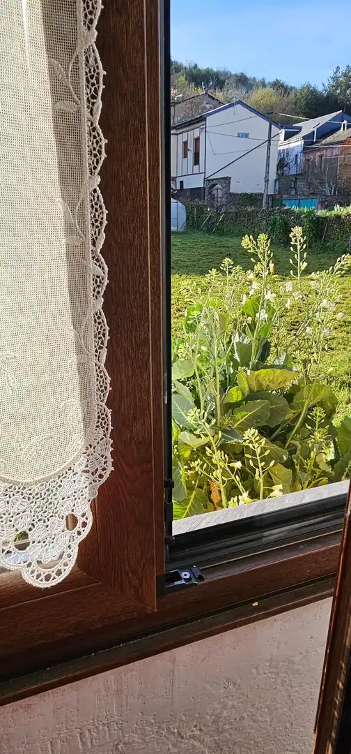 Jardí de Finca rústica en venda en Ponferrada amb Jardí privat