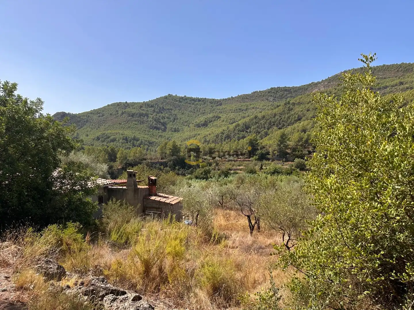 Finca rústica en venta en Figueroles, Castellón