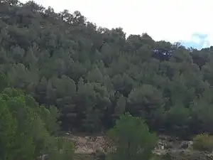 Terreno rustico in vendita a Carrer la Torreta, imagen 6