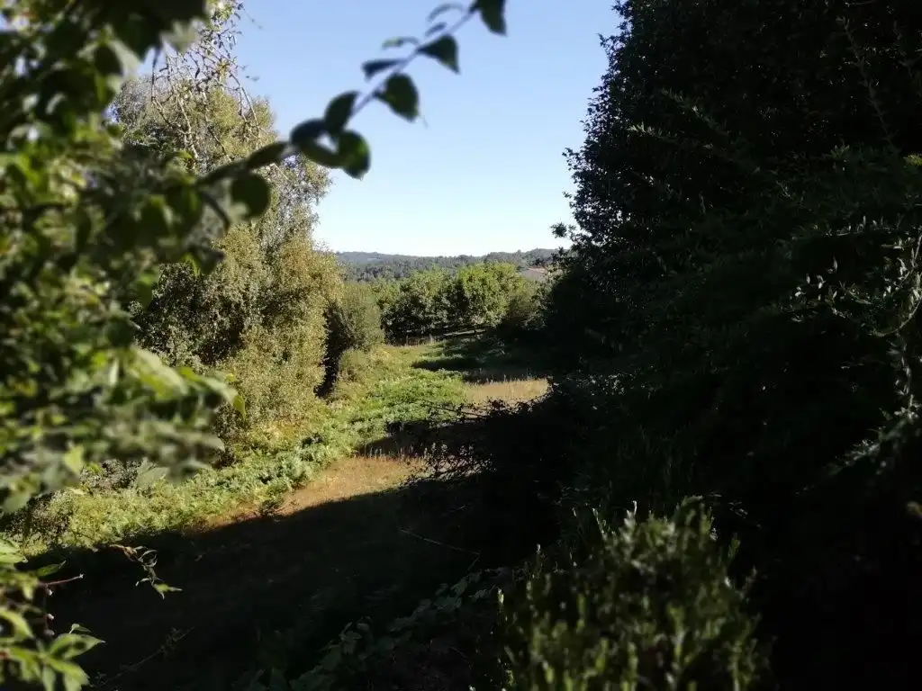 Casa o chalet en venta en Silleda con Jardín privado