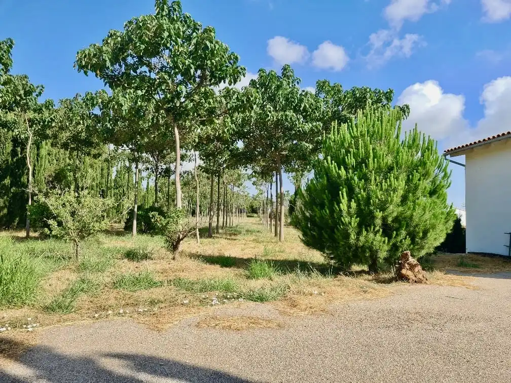 Country house with garden for sale in Pedreguer, imagen 5