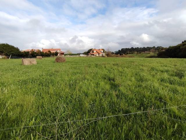 Terreno residencial en Venta en Centro