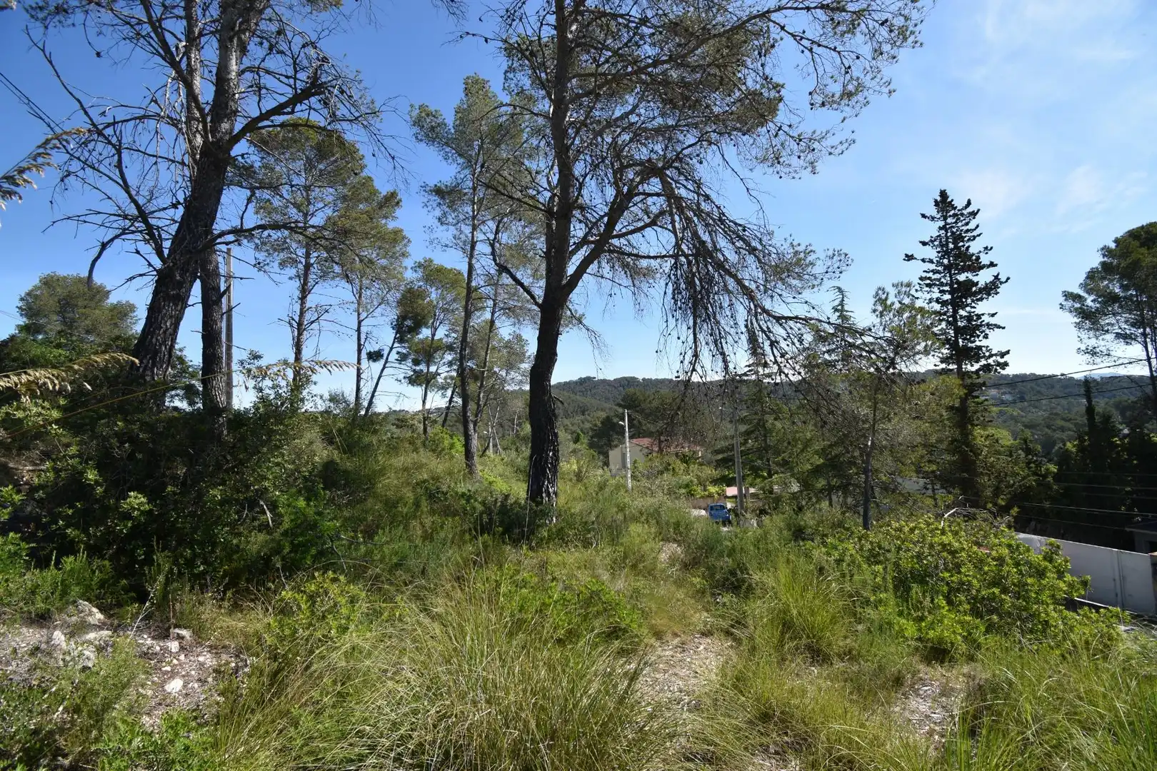Terreno residencial en venta en Olivella, imagen 4