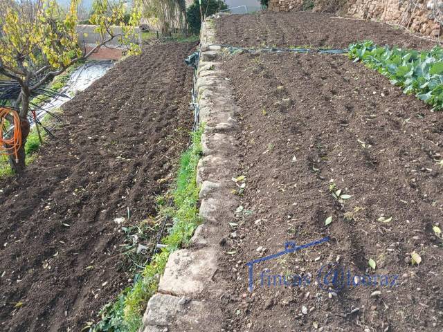 Terreno residencial en Venta en coso en Loarre