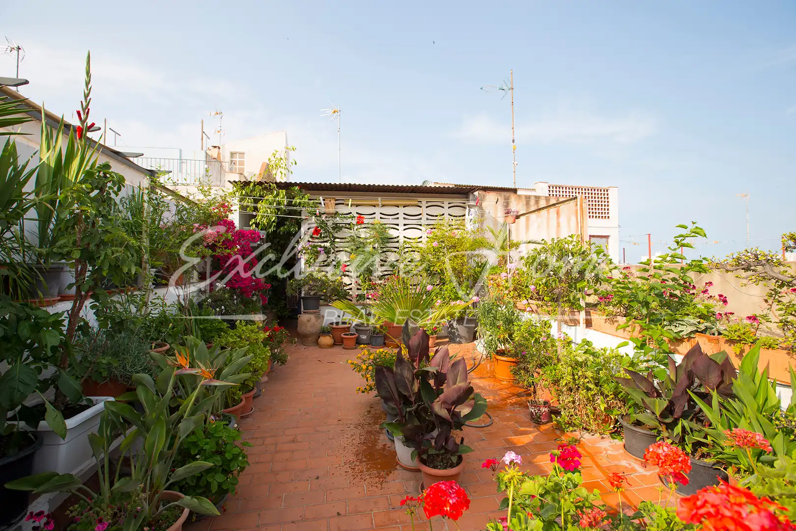 Mixte résidentiel à vendre à Carrer Major, imagen 35