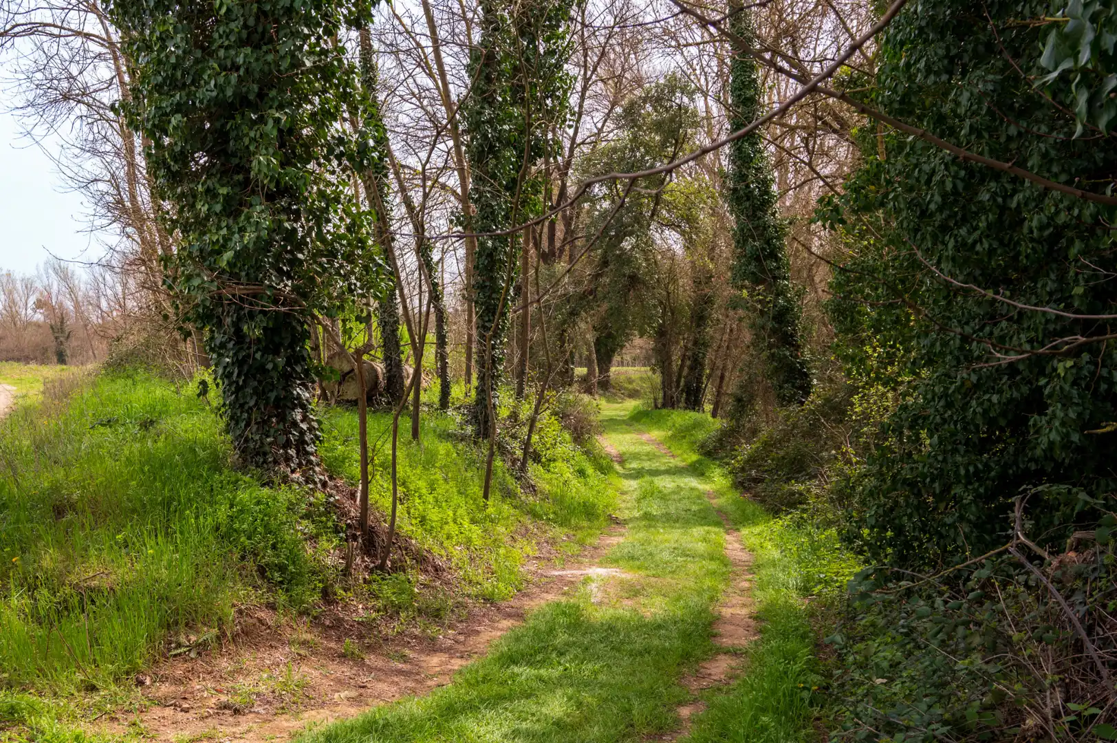 Vista exterior de Casa o xalet en venda en Corçà amb Jardí privat, Terrassa i Traster