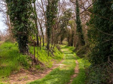 Casa con giardino in vendita a Corçà