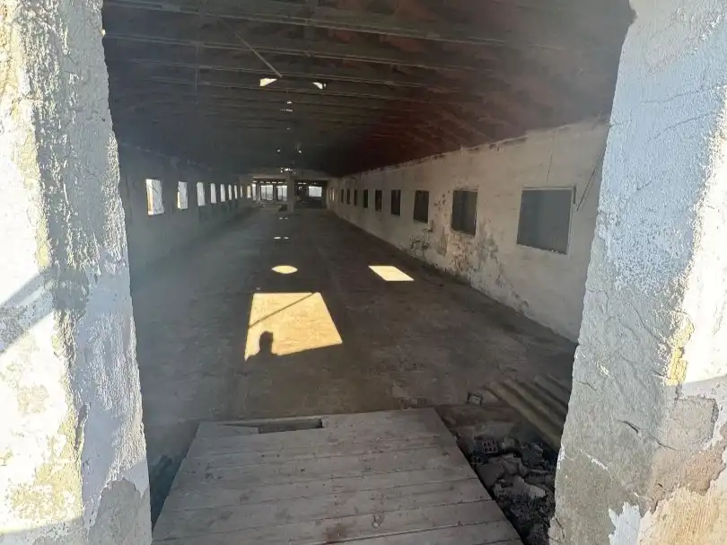 Industriegebäude zum Verkauf in Partida Torregroses Polig C 47, imagen 24