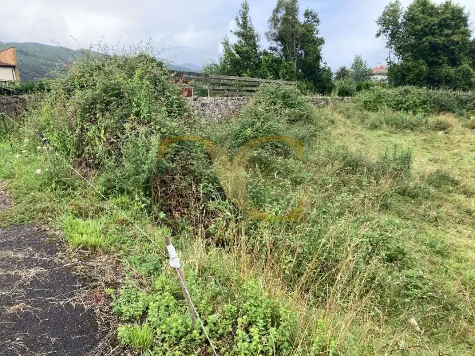 Terreno residencial en venta en Noriega, imagen 11