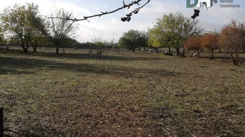 BadajozTerreno, imatge 5
