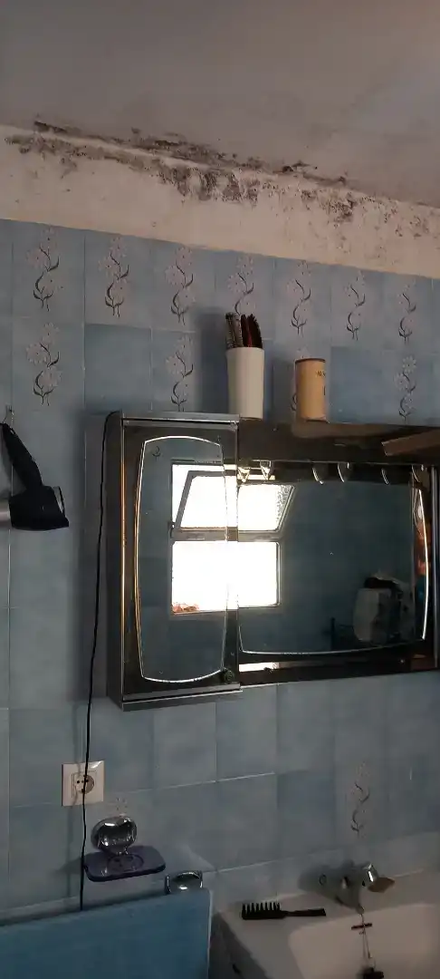 Bany de Planta baixa en venda en Viso del Marqués amb Aire condicionat, Moblat i Forn