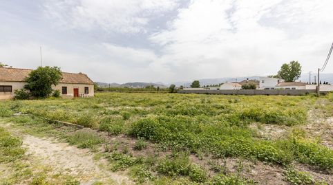 Foto 5 de Finca rústica en venta en Camino de Purchil, Camino de Ronda, Granada Capital