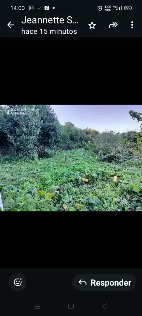 Finca rústica en venda en El Tanque, Santa Cruz de Tenerife