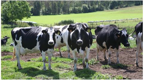 Foto 4 de Terreno en venta en Praza Covadonga, Ventiun, Ourense Capital