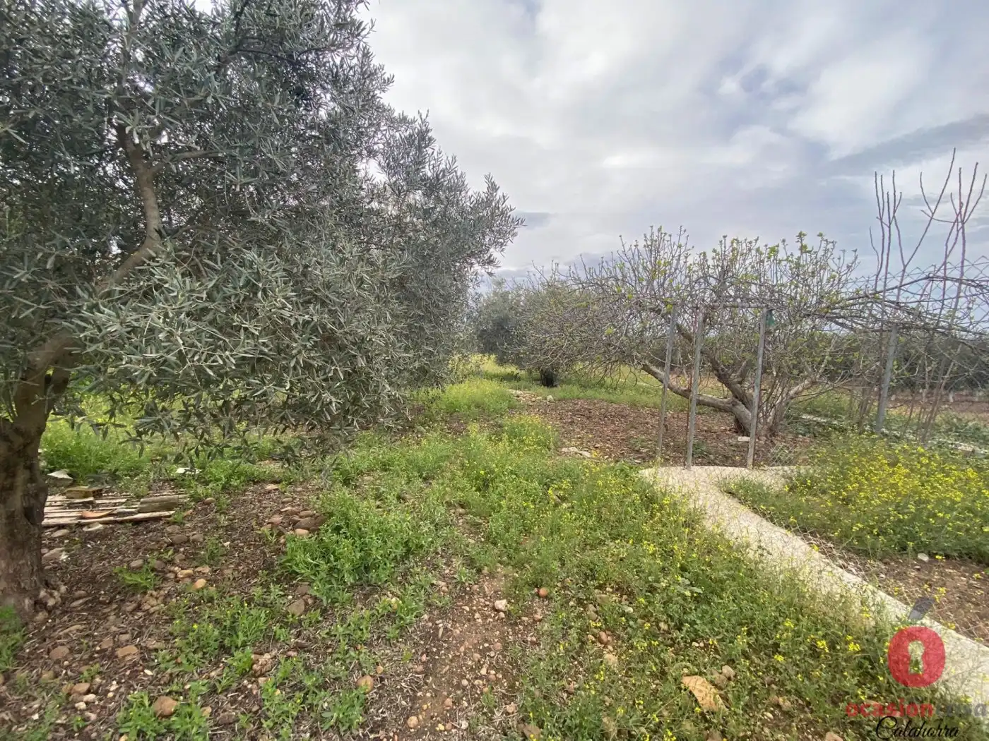 Country homes for sale in La Carlota  with Air Conditioner, Heating and Storage room