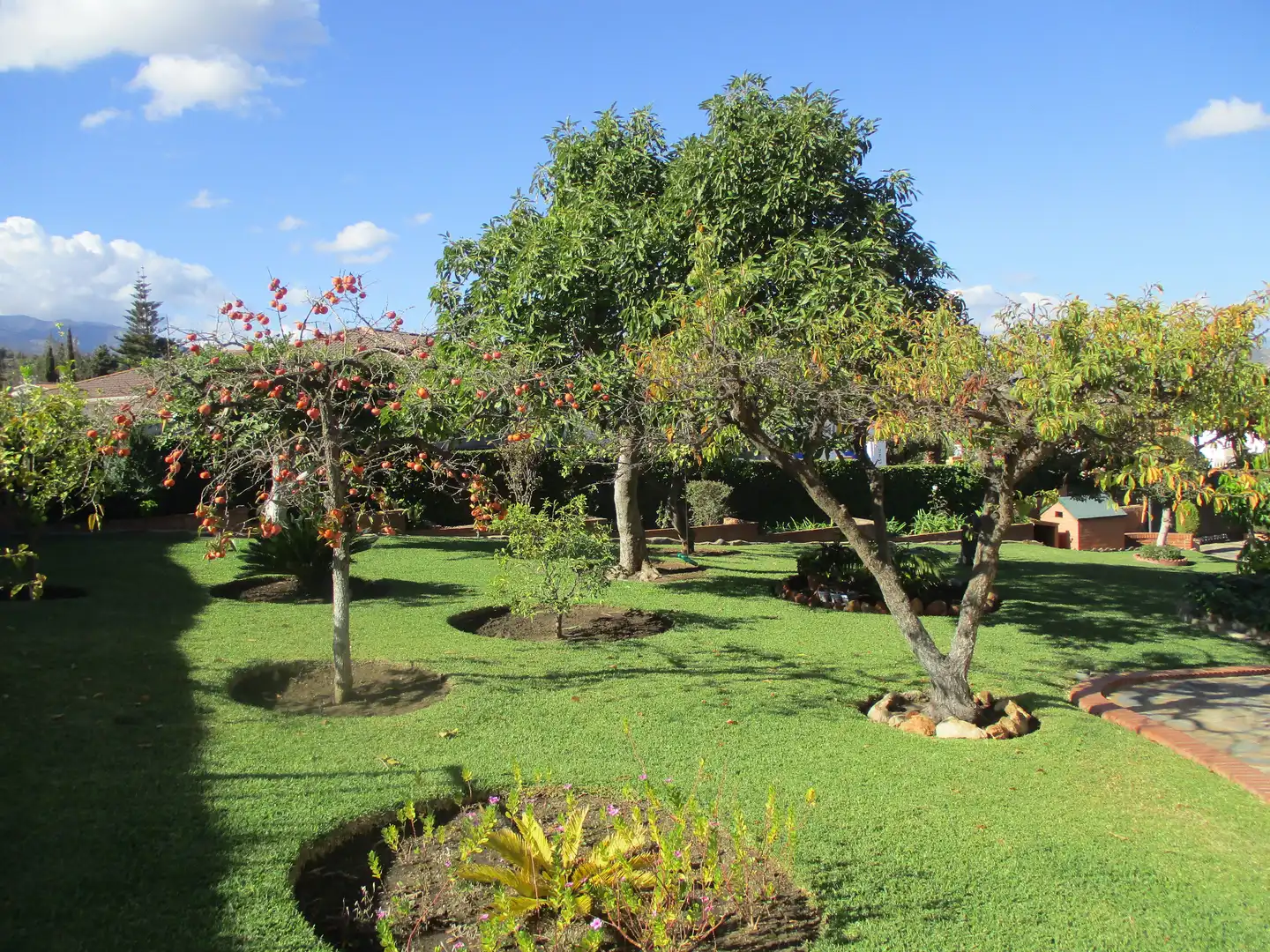 Casa o chalet en venta en Manantiales - Lagar - Cortijo