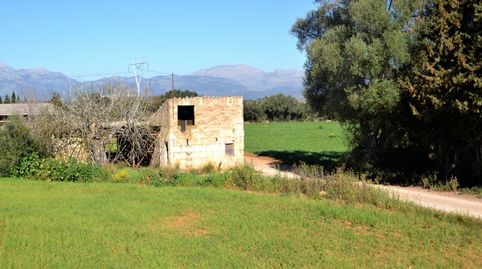 Photo 3 of Country homes for sale in Llubí, Illes Balears