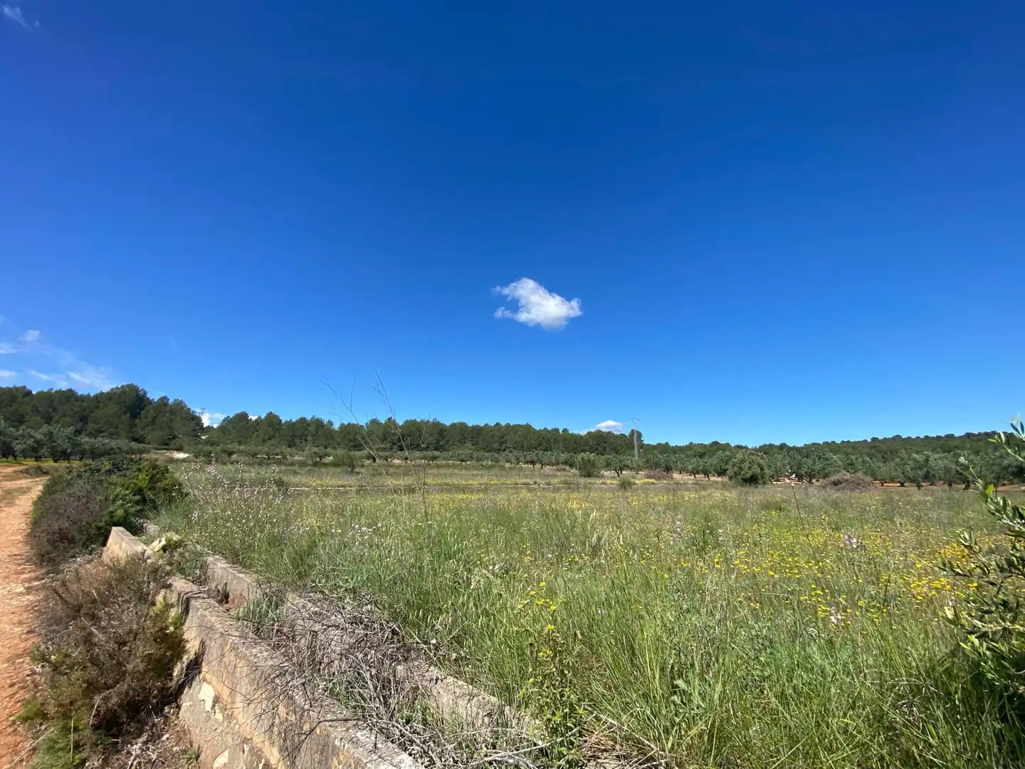 Terrain résidentiel à vendre à Chella, imagen 2