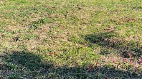 Foto 2 de Residencial en venda a Valderrama, Sotogrande Alto, Sotogrande