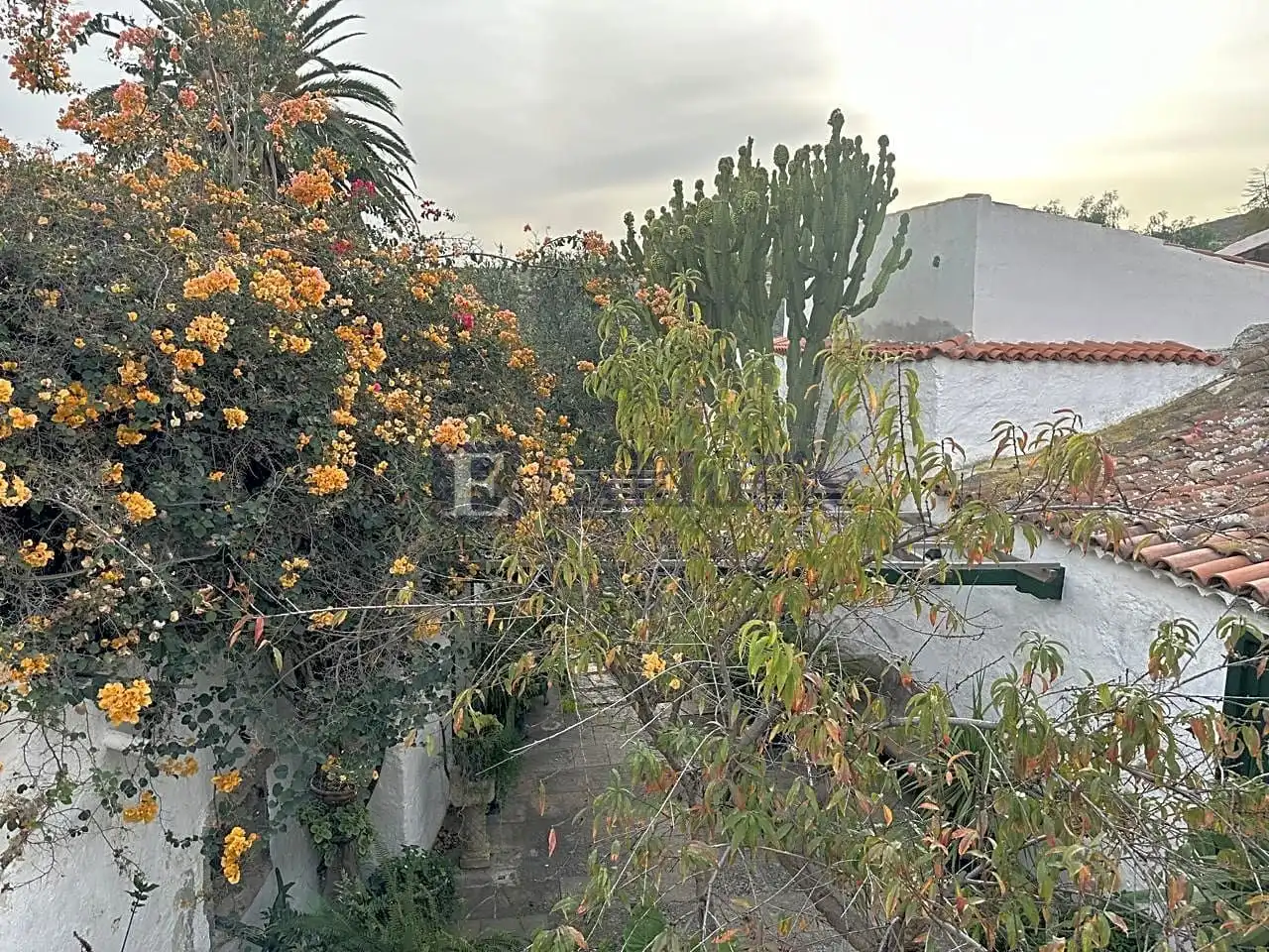 Vista exterior de Finca rústica en venta en Arico