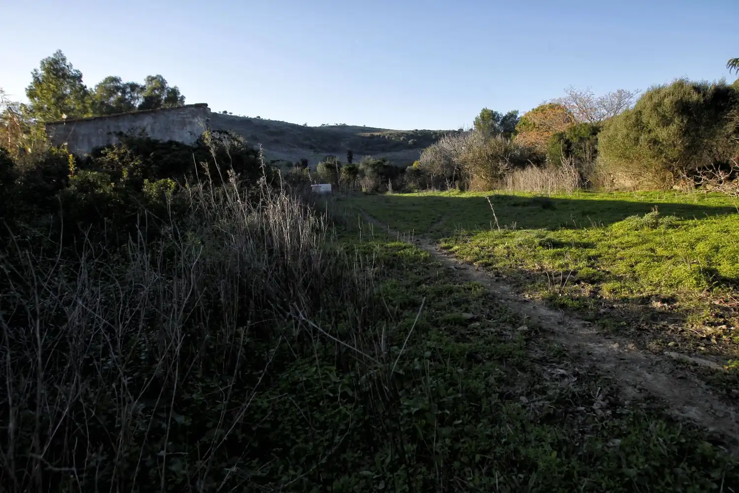 Maison rustique à vendre à San Martín del Tesorillo, imagen 33