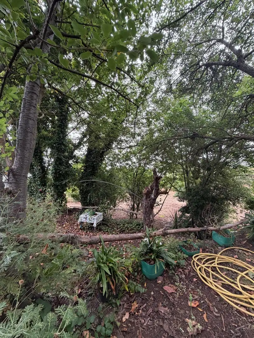 Terreno rustico in vendita a El Bebedero - Pinolere - Aguamansa, imagen 49