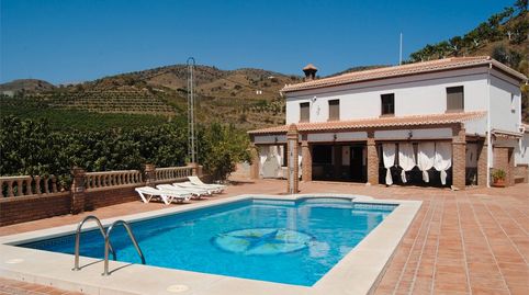 Casa, piscina y plantación de mango