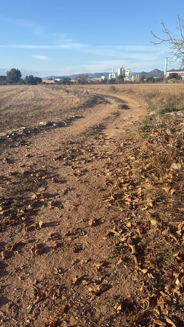 Terrain rustique à vendre à Carrer dels Teixidors, imagen 12