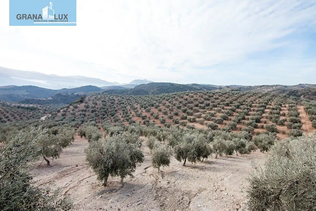 Country homes for sale in Loja